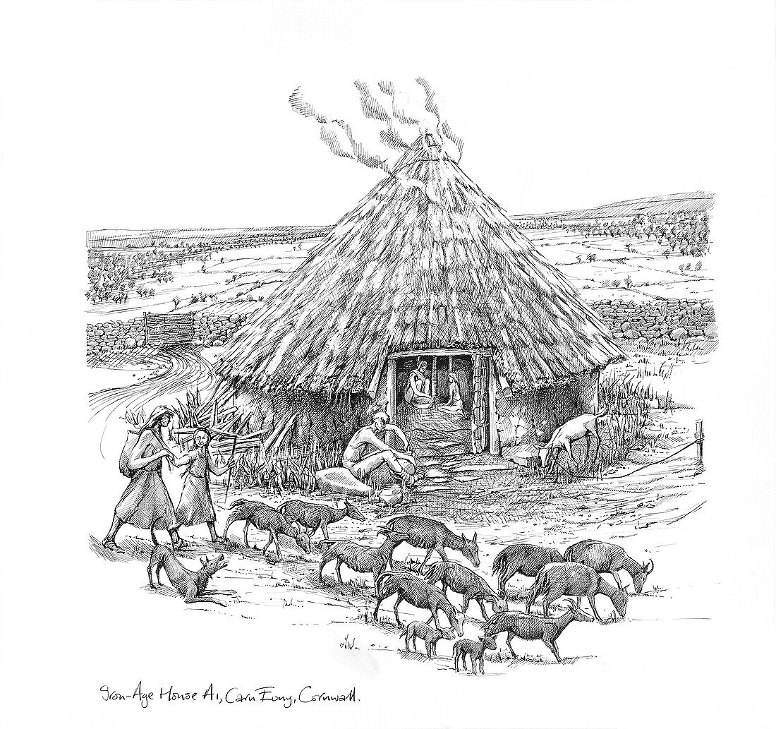 Farmers and goats outside Iron Age Roundhouse, illustration