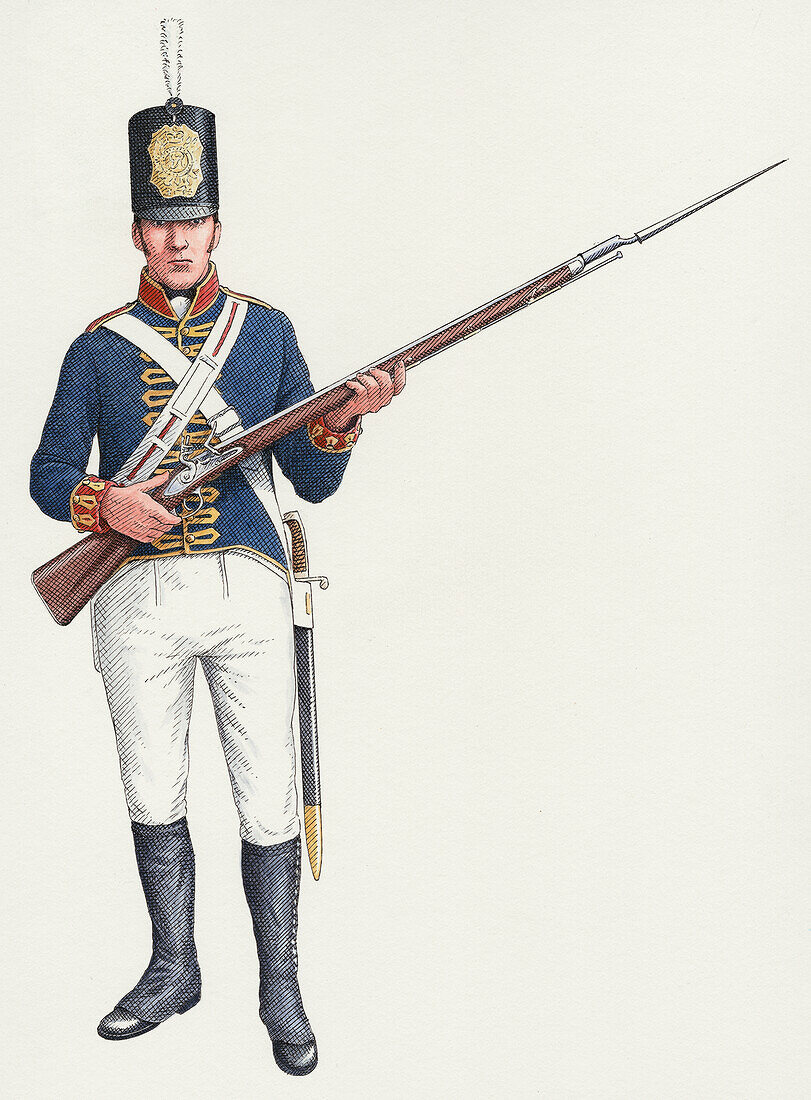 Napoleonic ordinary gunner, illustration