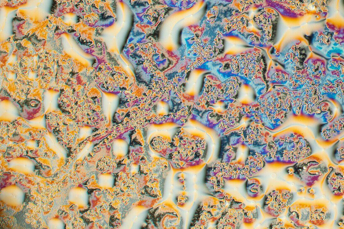 Liquid crystal, light micrograph