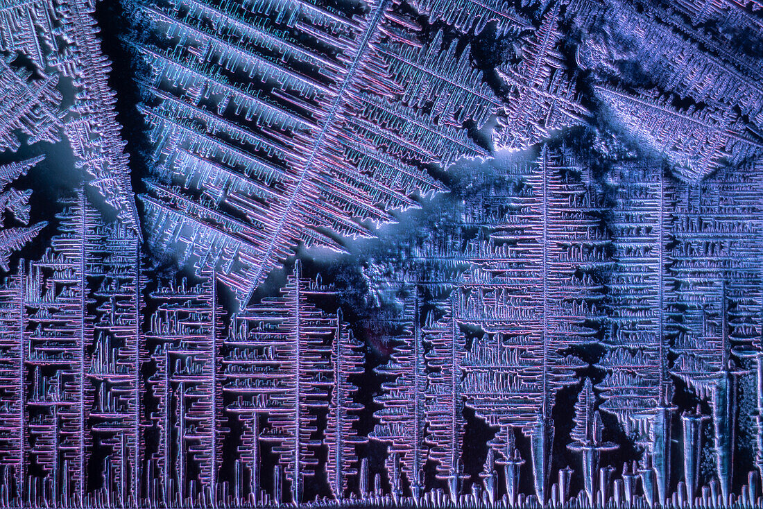 Soy sauce crystals, light micrograph