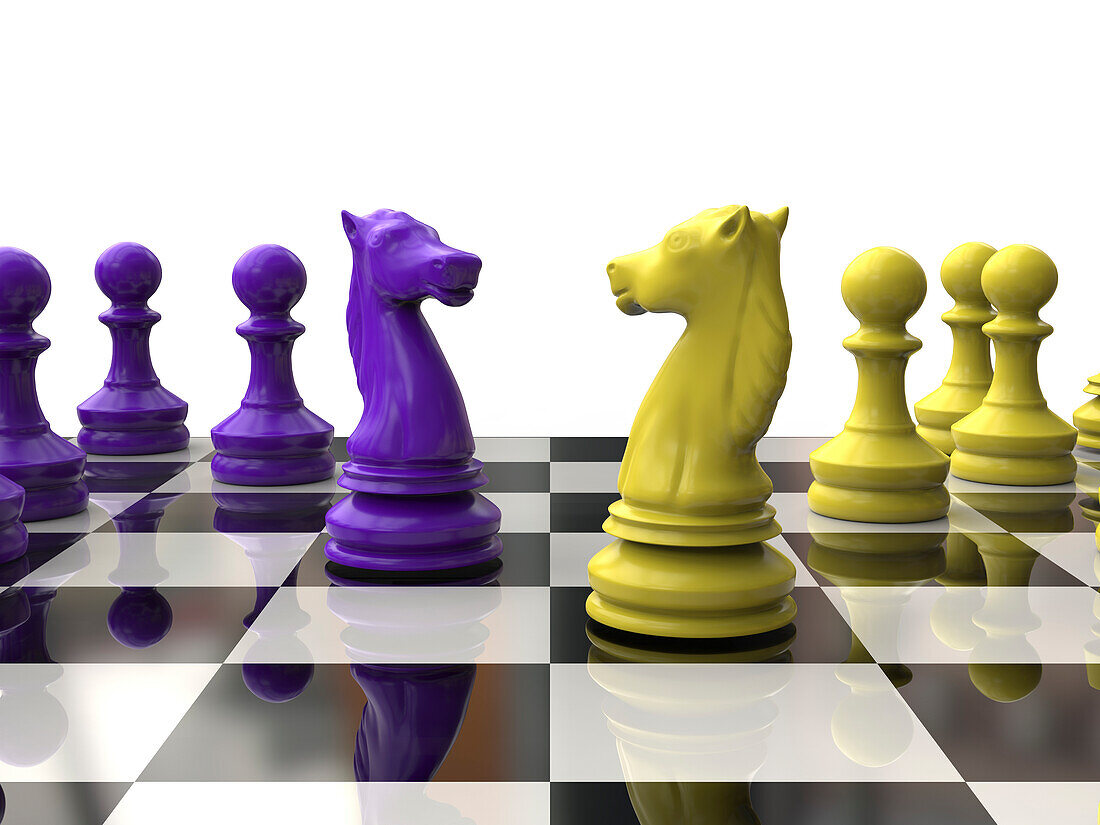 Knights on chess board, illustration