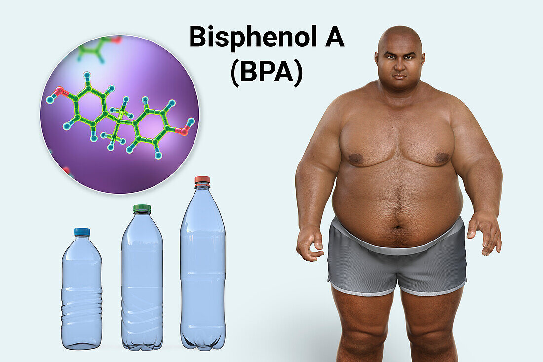 Link between plastics and obesity, conceptual illustration