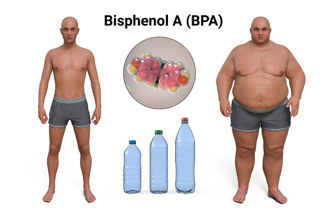 Link between plastics and obesity, conceptual illustration