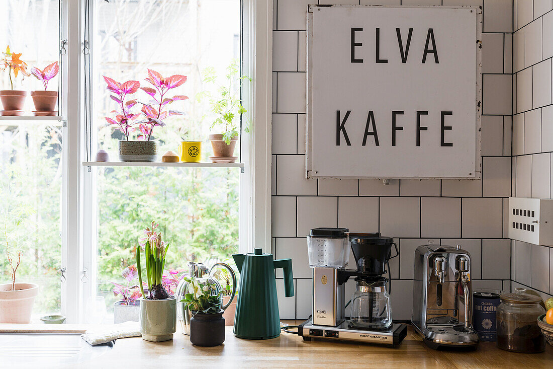 Cozy kitchen area with plants by the window and coffee accessories