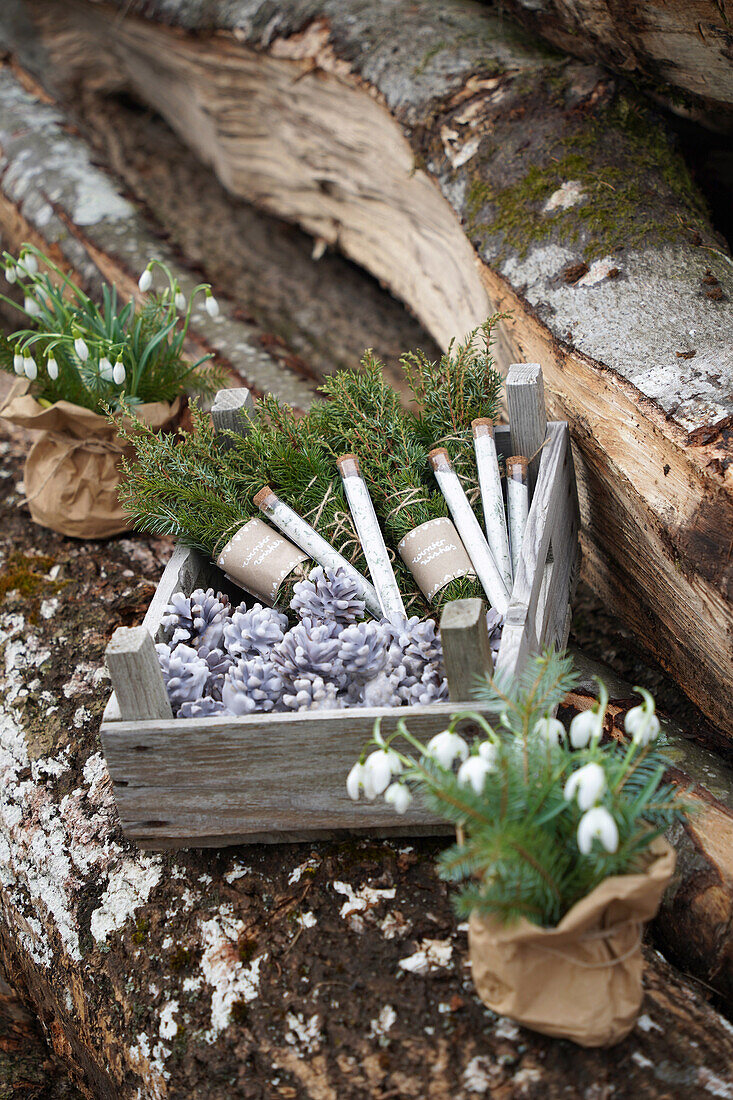 Homemade smoking bundles, cone lighters and spruce salt