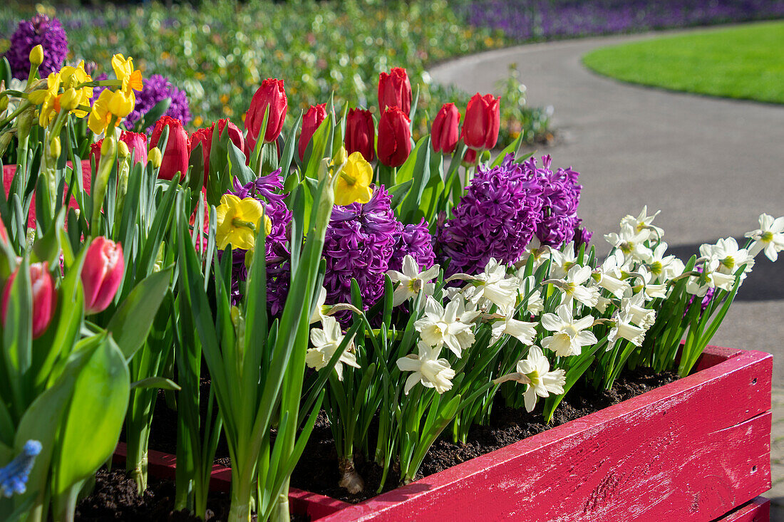 Spring container