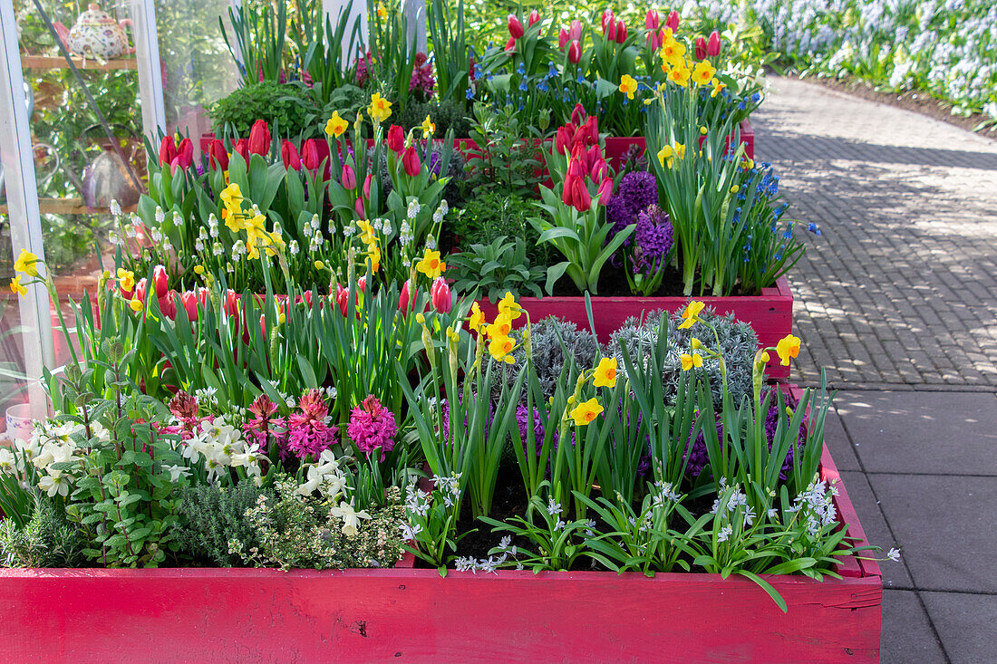 Spring containers