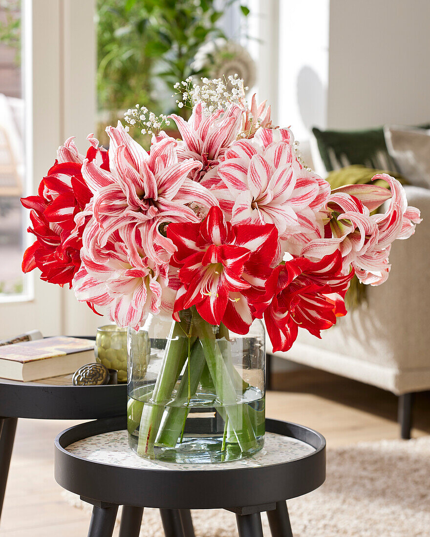 Hippeastrum bouquet