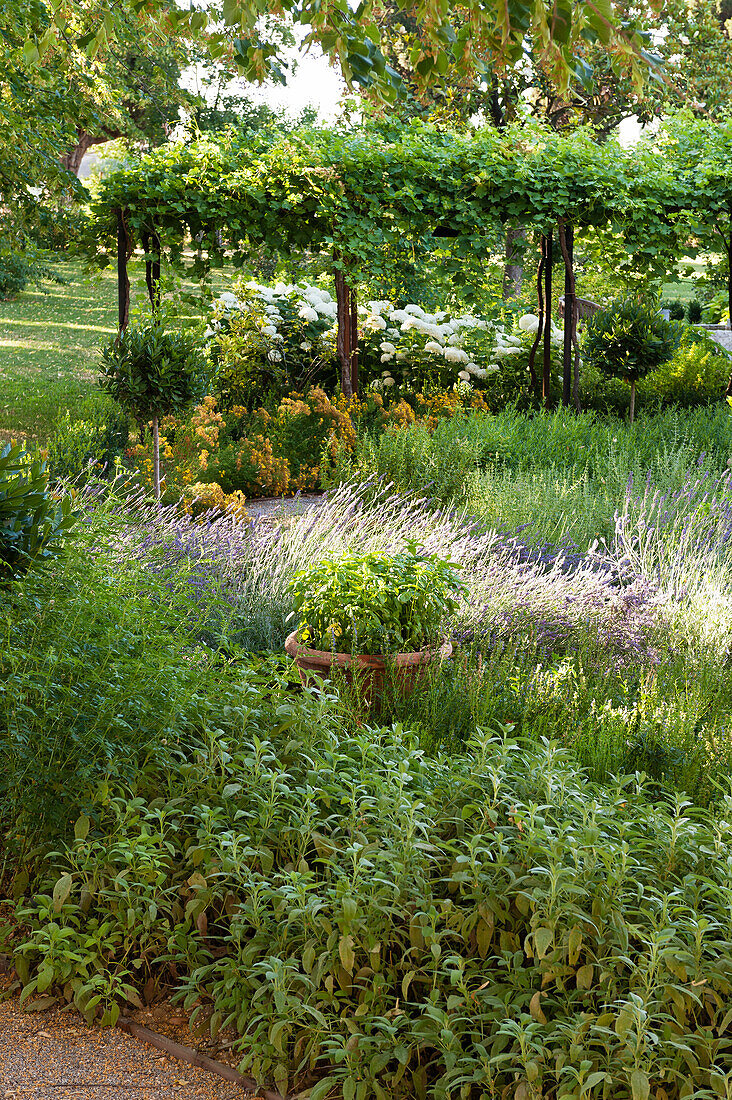 Mediterranser garden