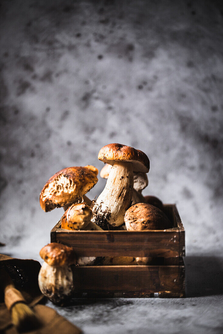Porcini mushrooms in wooden box