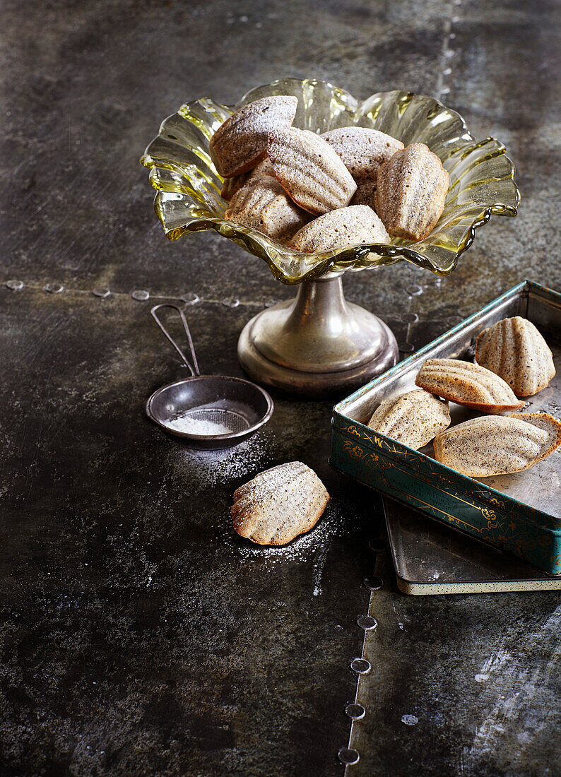 Madeleines with chai spice