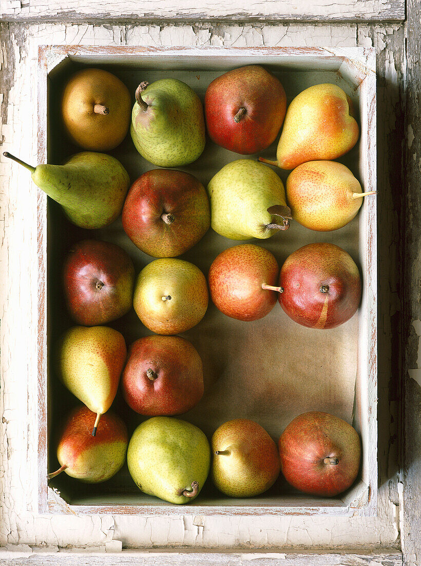 Different pears in a box