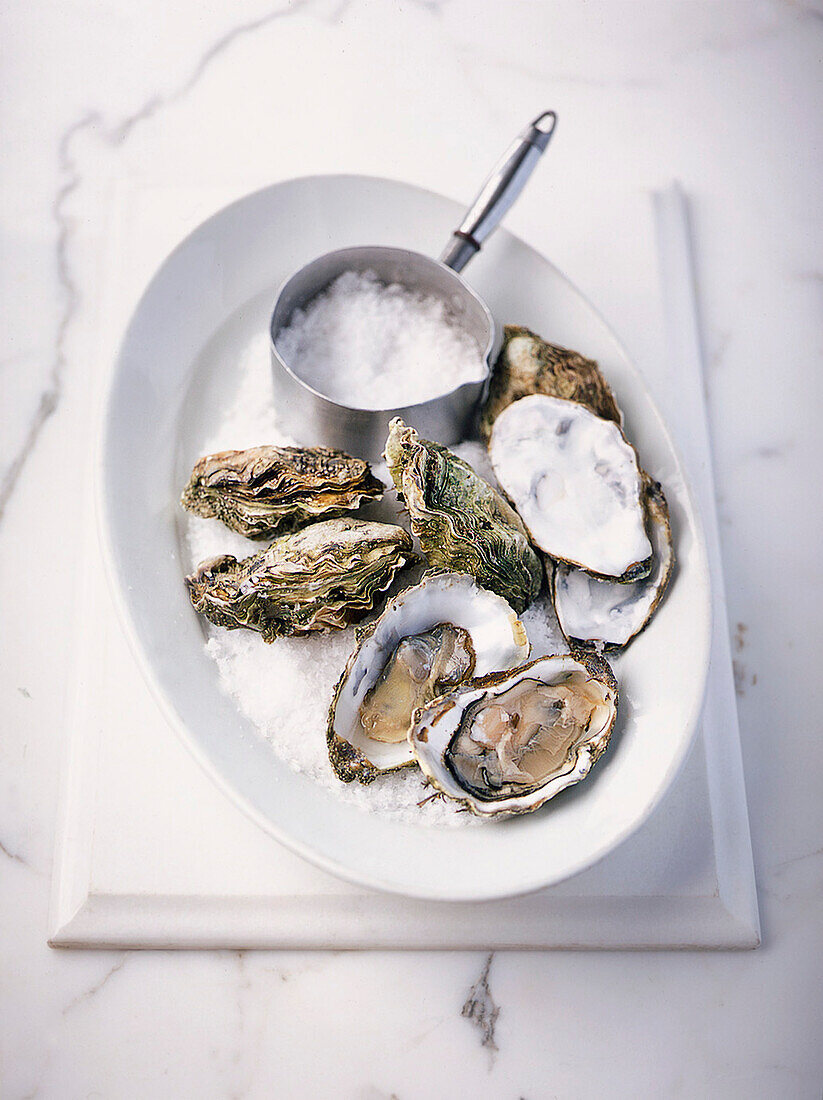 Oysters with sea salt