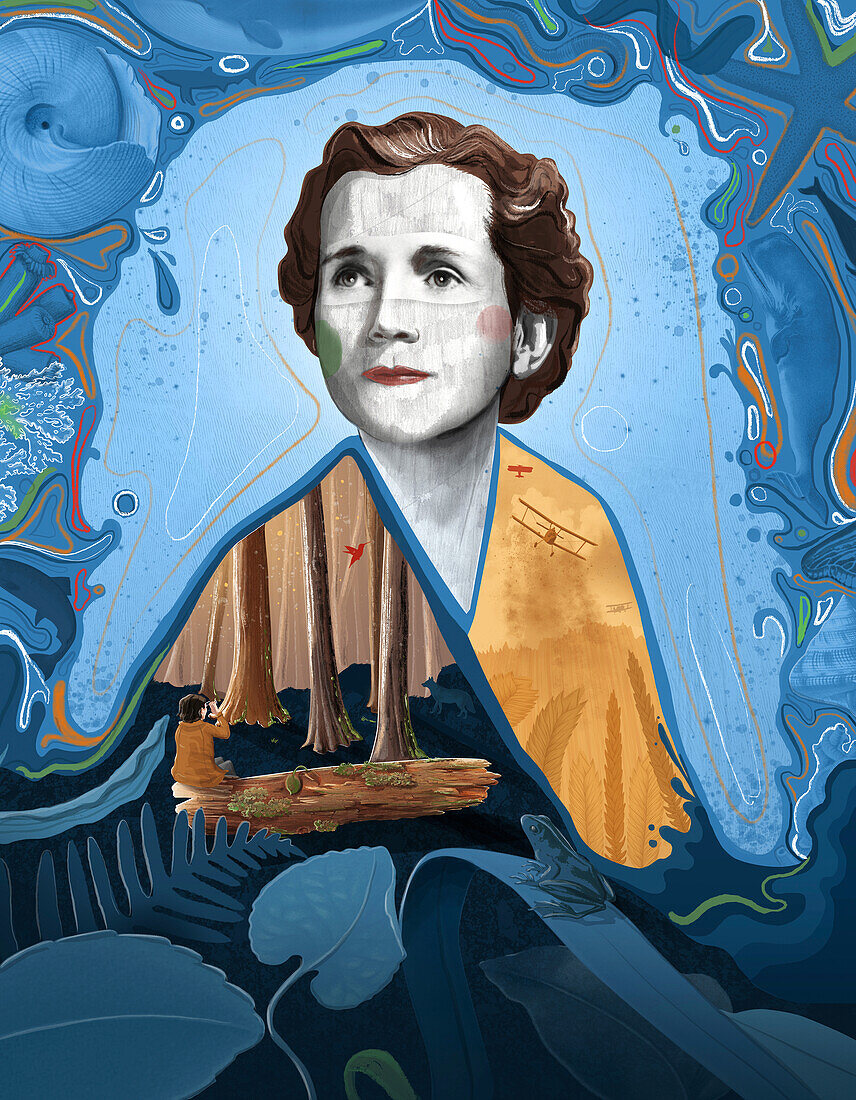 Rachel Carson, illustration