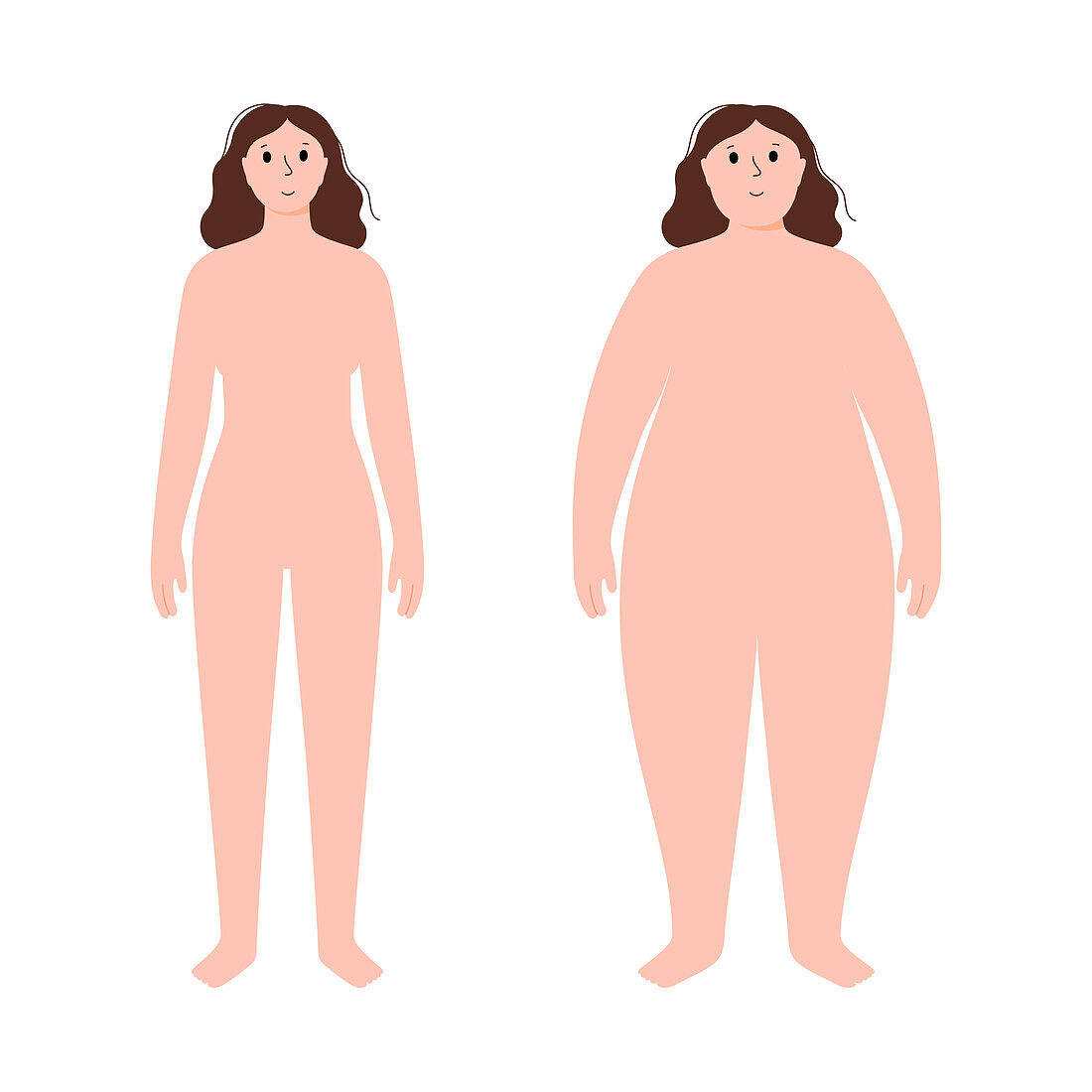Obese and normal weight woman, illustration