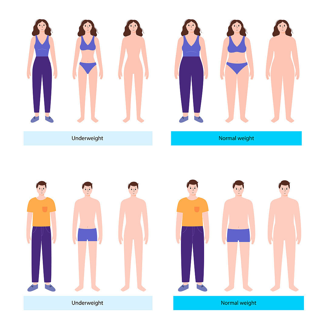 Underweight and normal weight woman and man, illustration