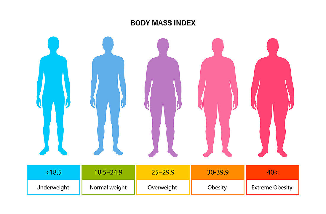 Body mass index, illustration