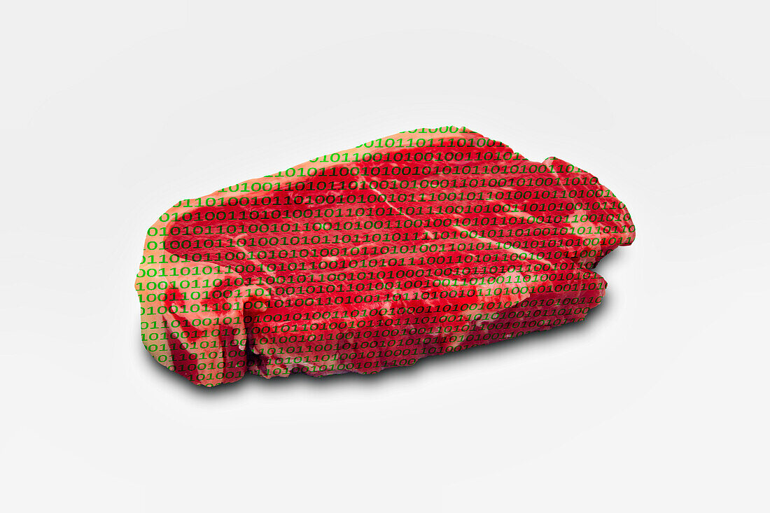 Artificial meat, conceptual composite image