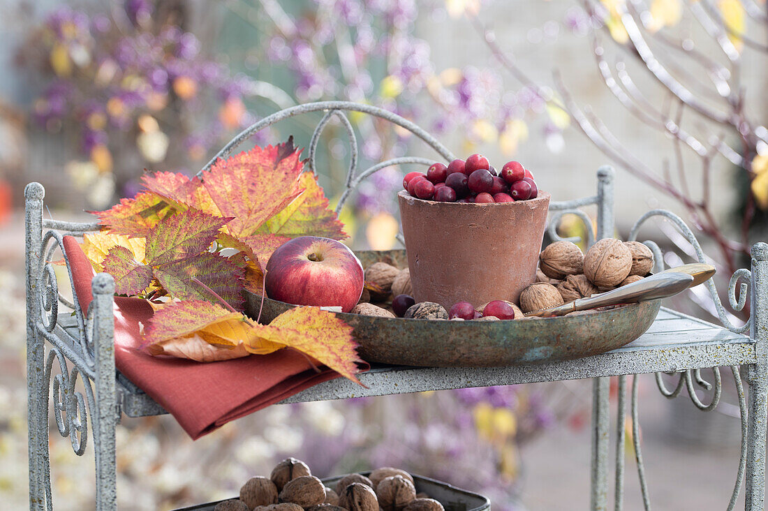 Herbstliche Dekoration aus Cranberrys, Früchten, Nüssen und Herbstlaub auf Regal