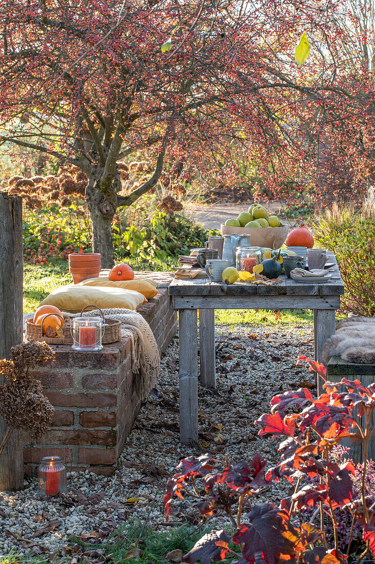 Herbstlich dekorierter Tisch im Garten mit Kürbis und Obst