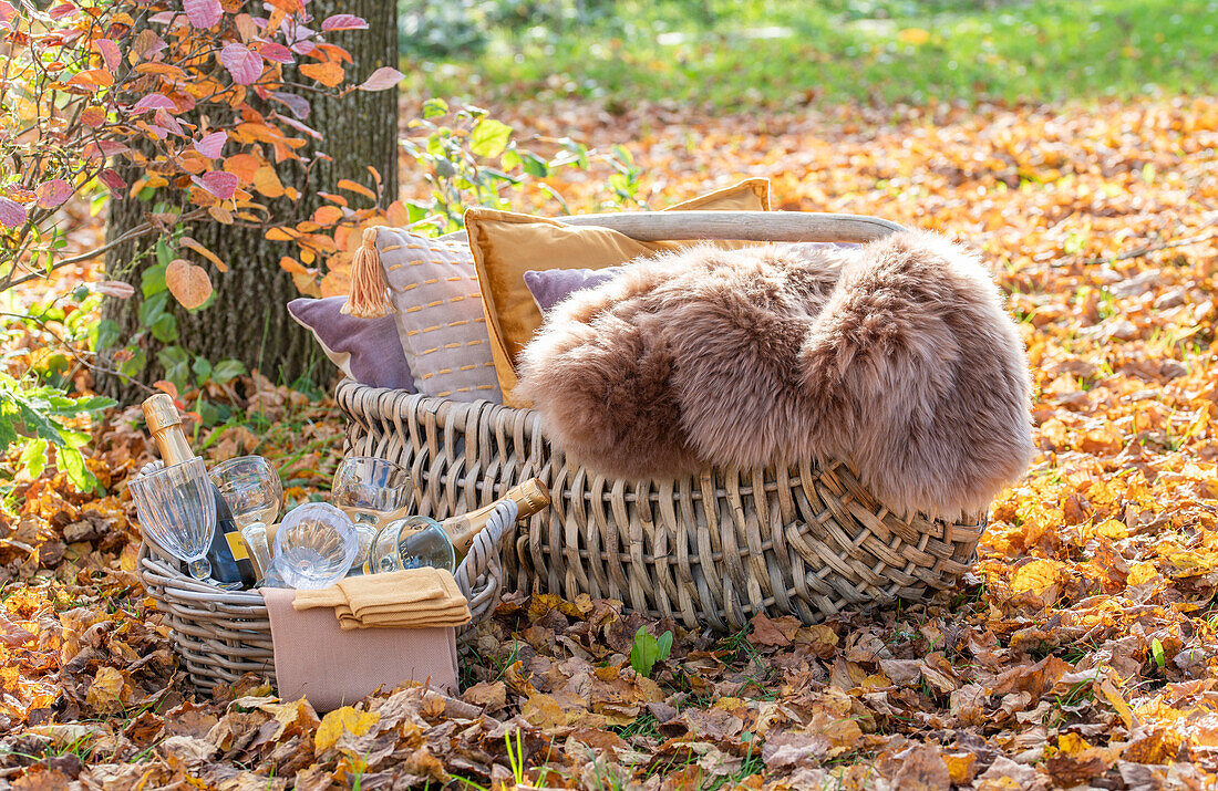 Picnic basket with cushions ans blankets and a basket with champagne bottles and champagne glasses on autumn leaves
