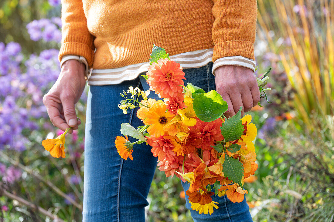 Woman holding bouquet of dahlias (Dahlia), marigolds (Calendula) and nasturtium (Tropaeolum)