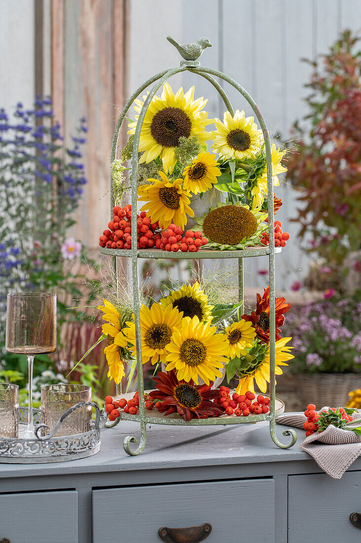 Dessert stands with sunflowers (Helianthus) and rowan berries (Sorbus) on terrace