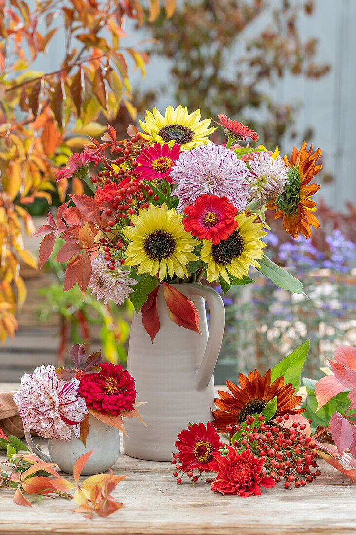 Herbstliche Blumensträuße auf der Terrasse mit Dahlien (Dahlia), Sonnenblume (Helianthus), Zinnien (Zinnia), Hagebutten, Jungfernreben (Parthenocissus)