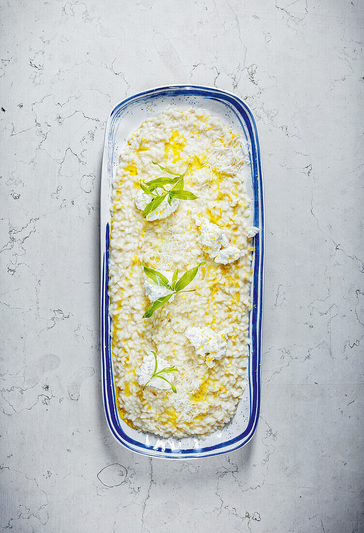 Zitronenverbenen-Risotto mit Ricotta und Parmesan