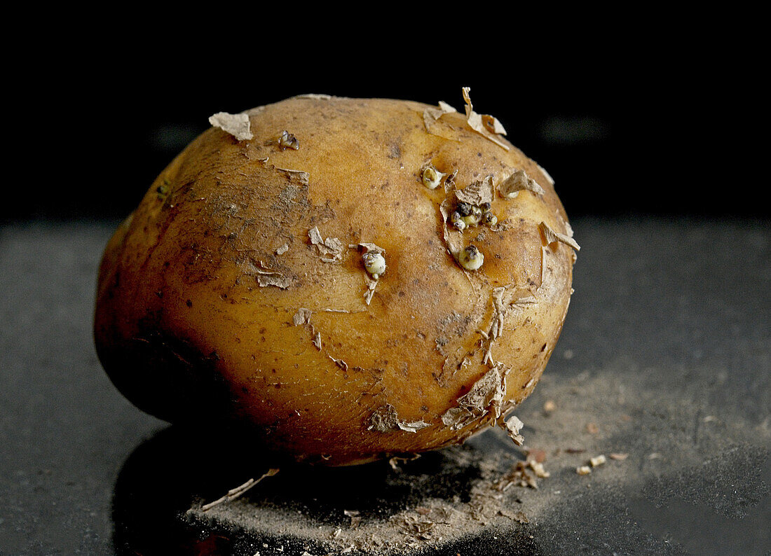 Raw potato, stored