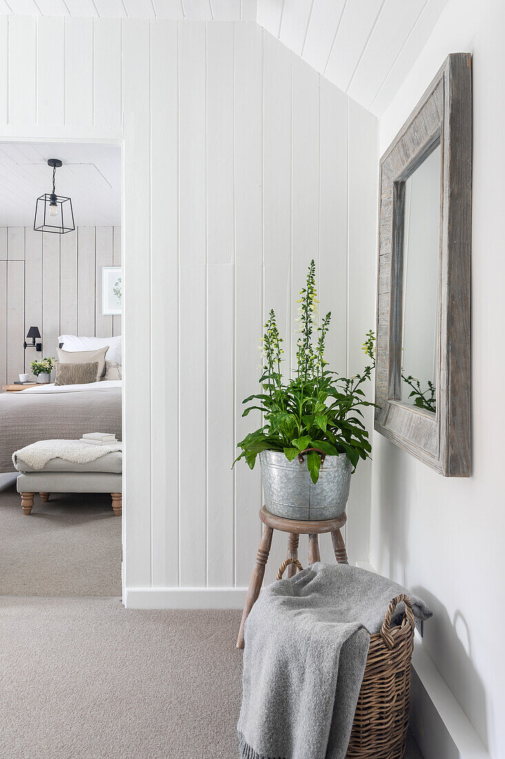 Hallway with country-style plant pot and mirror