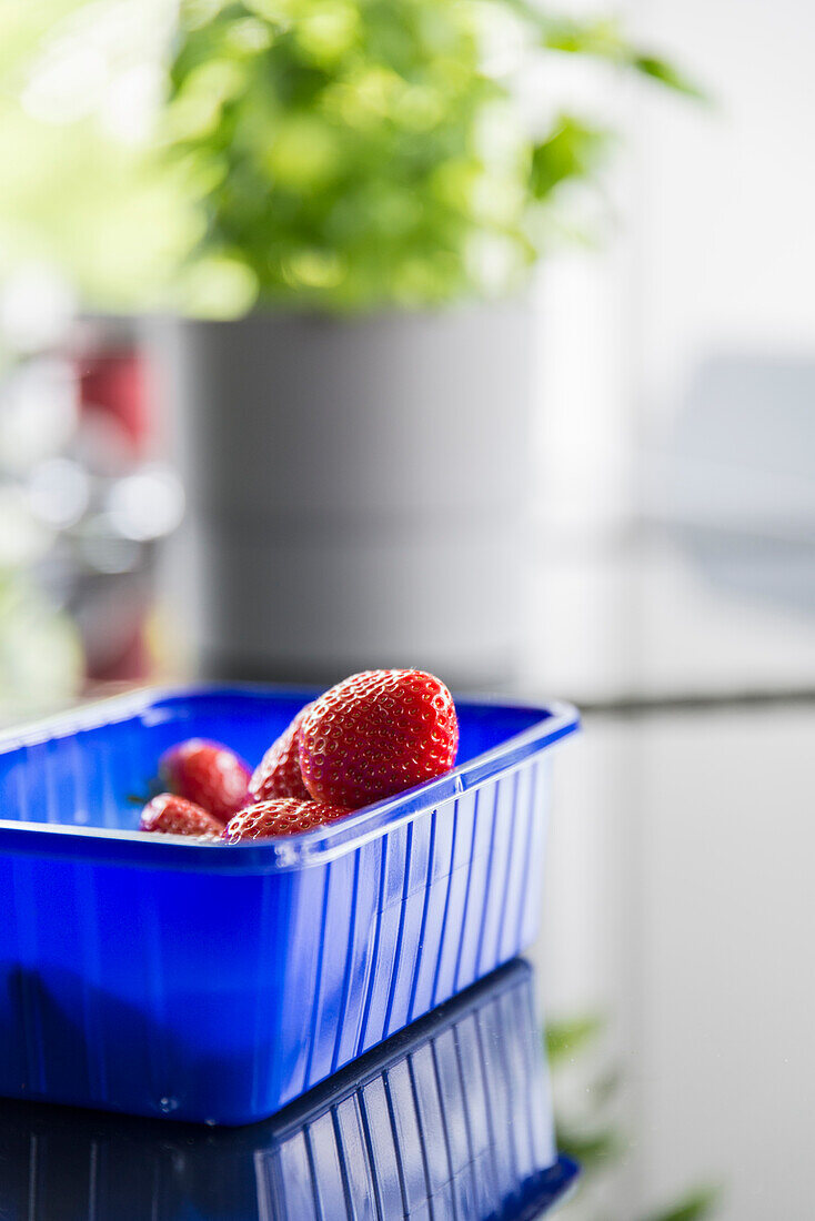 Fresh strawberries in a blue plastic container