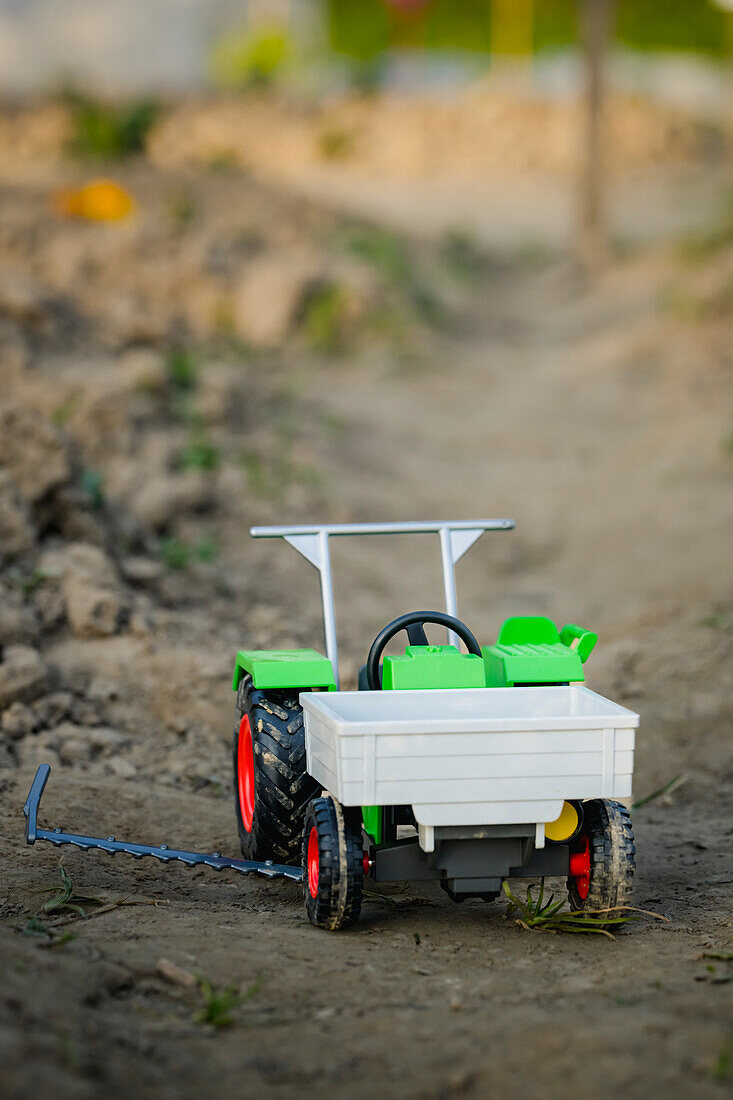 Toy tractor in a vegetable patch