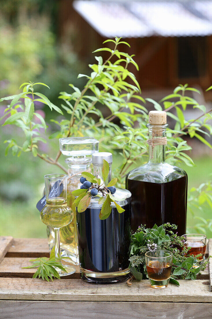 Blackthorn liqueur, herb liqueur, verbena liqueur