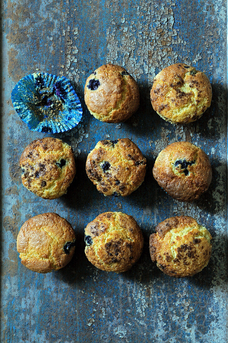 Blueberry muffins