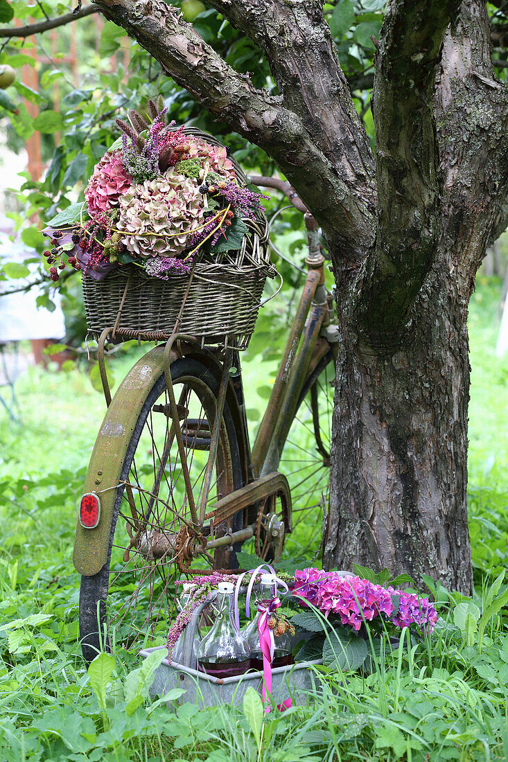 Korb mit Herbststrauß auf altem Fahrrad