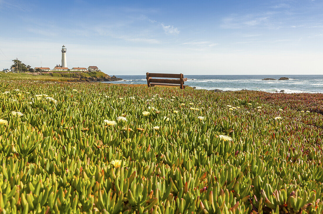 Pigeon Point Lighthouse And Blooming Ice Plant In The Foreground On The Cliffs; California, United States Of America