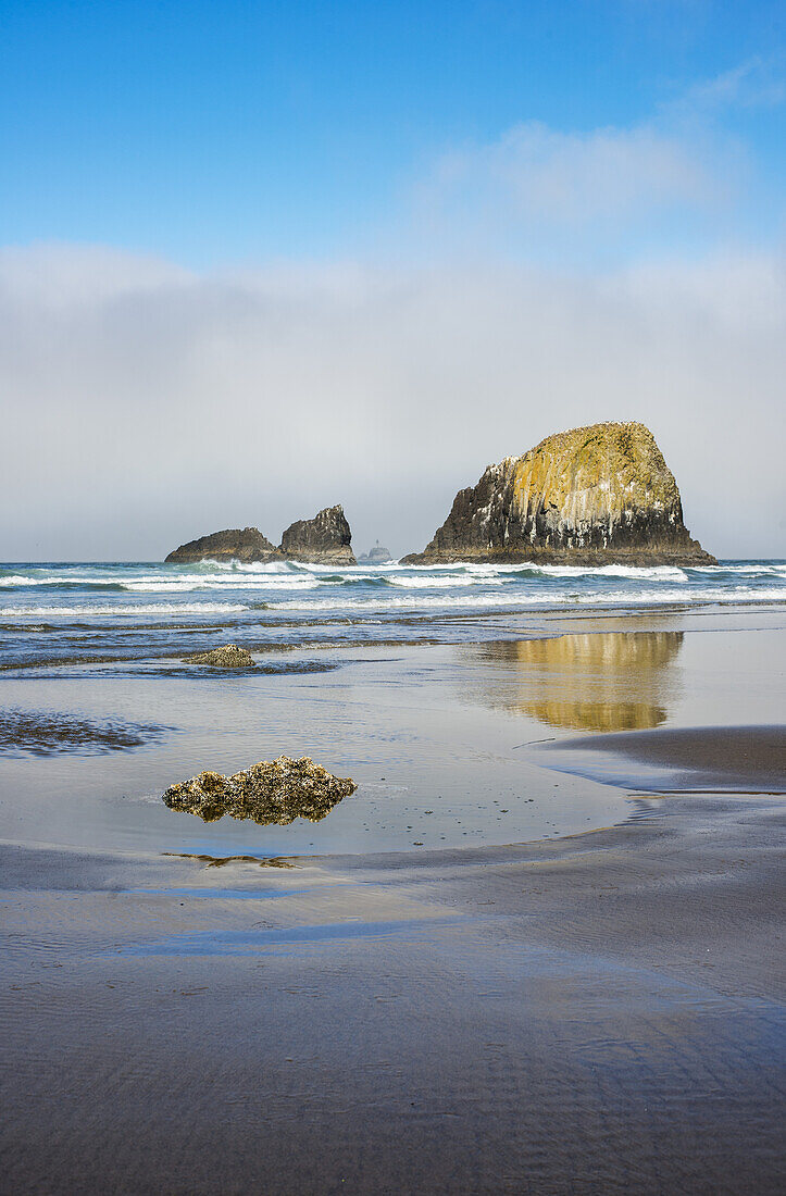 Reflections Caught On A Wet Beach; Cannon Beach, Oregon, Vereinigte Staaten Von Amerika