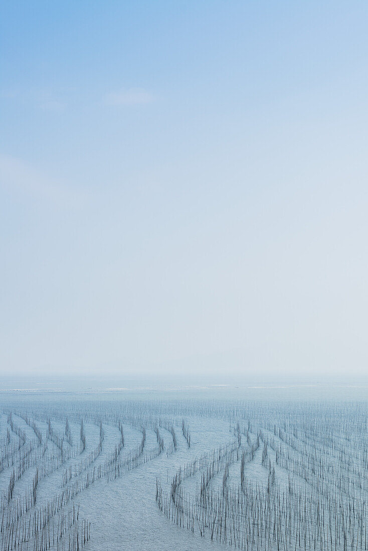Eine Struktur aus Pfosten im Wasser zum Aufhängen von Fischernetzen zum Trocknen; Xiapu, Fujian, China