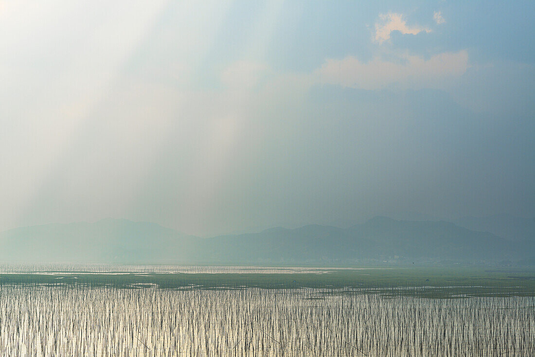 Pfosten und Seile zum Aufhängen der Fischernetze; Xiapu, Fujian, China