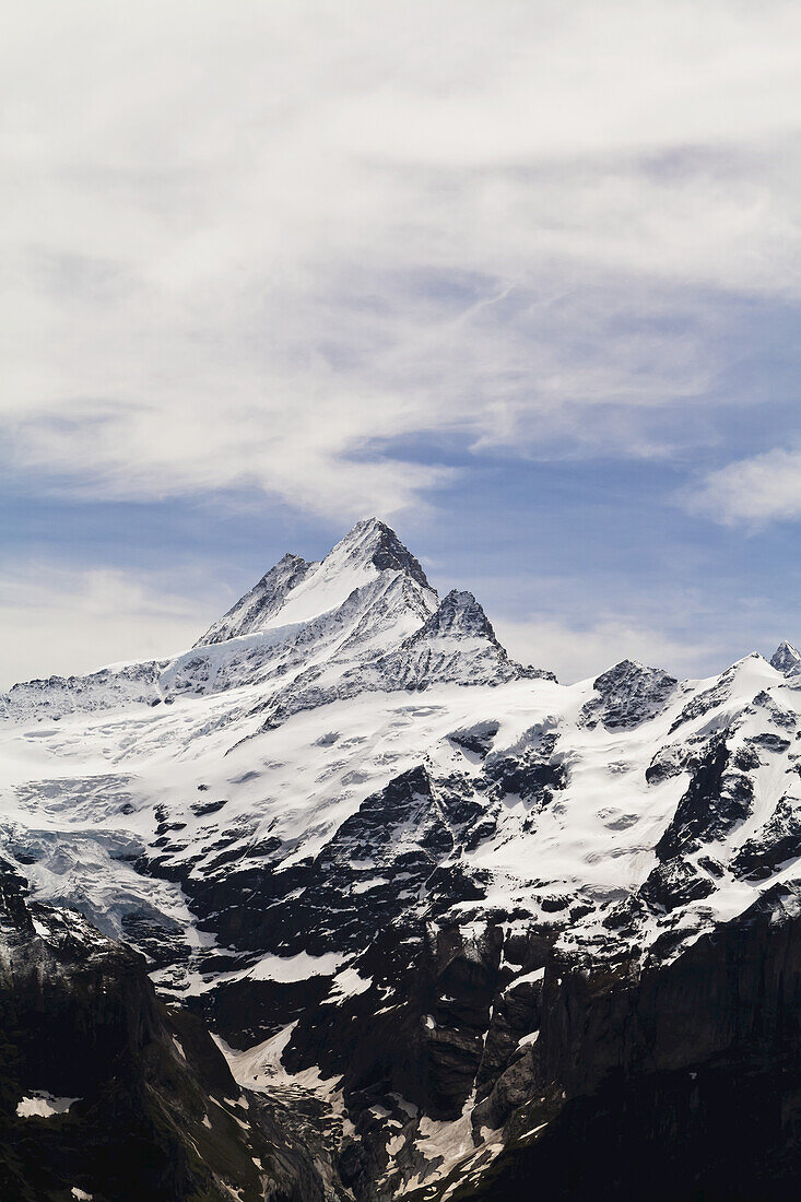 Jungfrau; Grindelwald, Berner Oberland, Schweiz