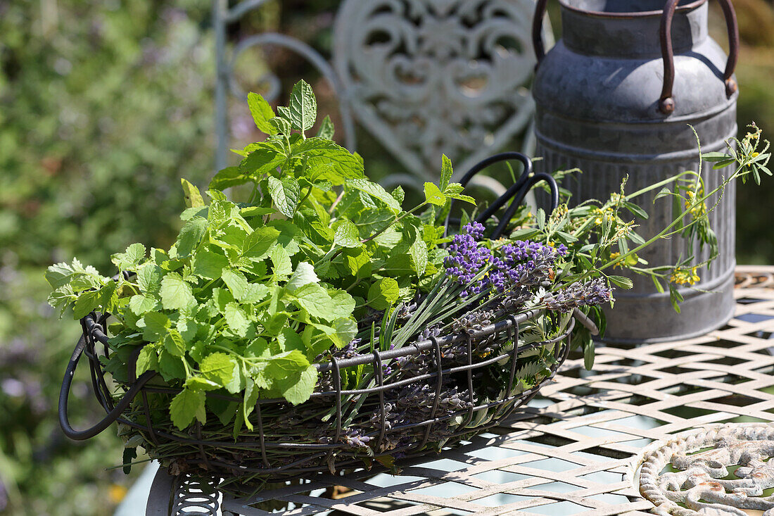 Fresh garden herbs against headaches