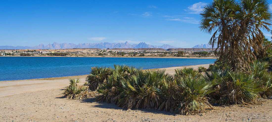 Küstenszene, nahe Duba; Tabuk, Saudi-Arabien