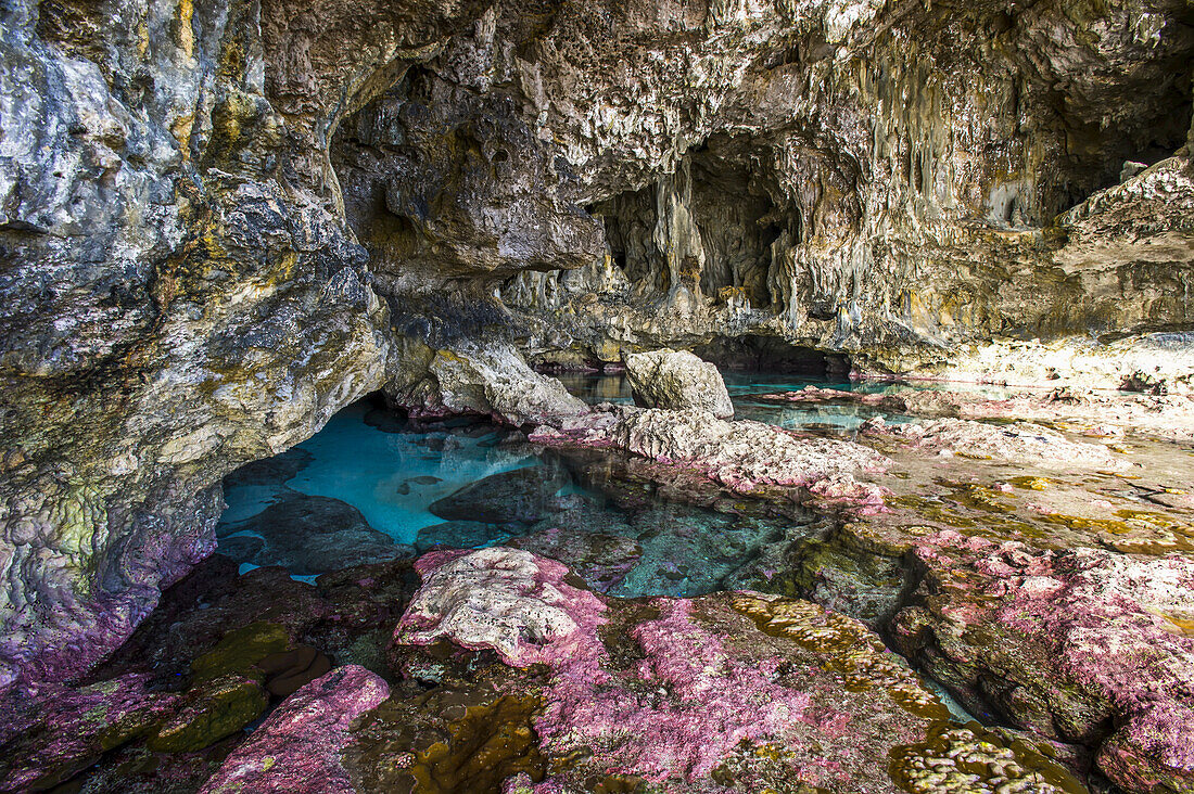 Weichkorallen schmücken die Meereshöhlen an der Küste von Niue; Niue