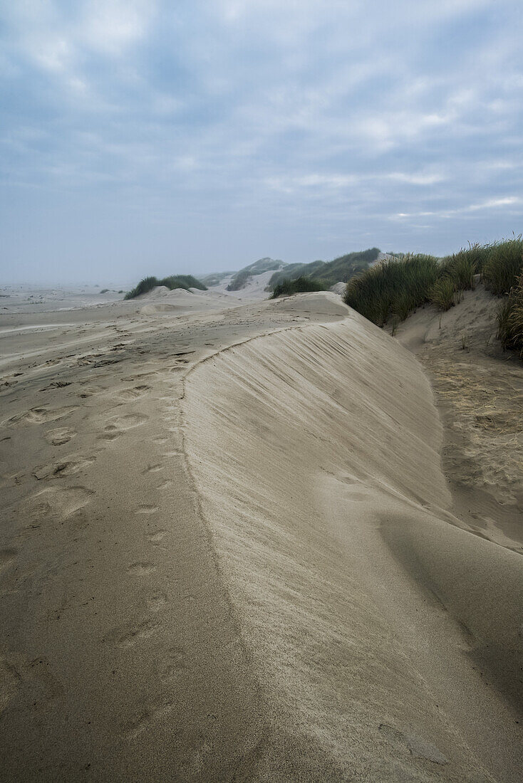 Eroded Sand Dunes; Oregon, United States Of America