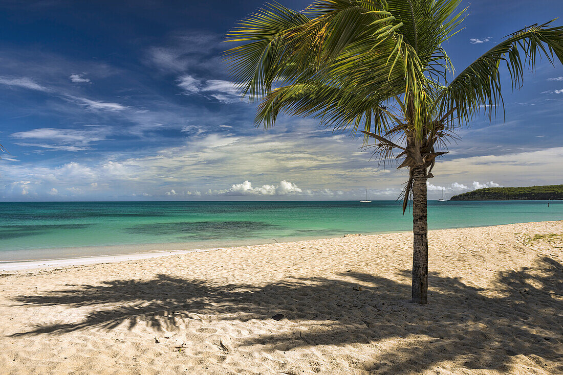 Dickenson Bay; St. John's, Antigua, Westindien