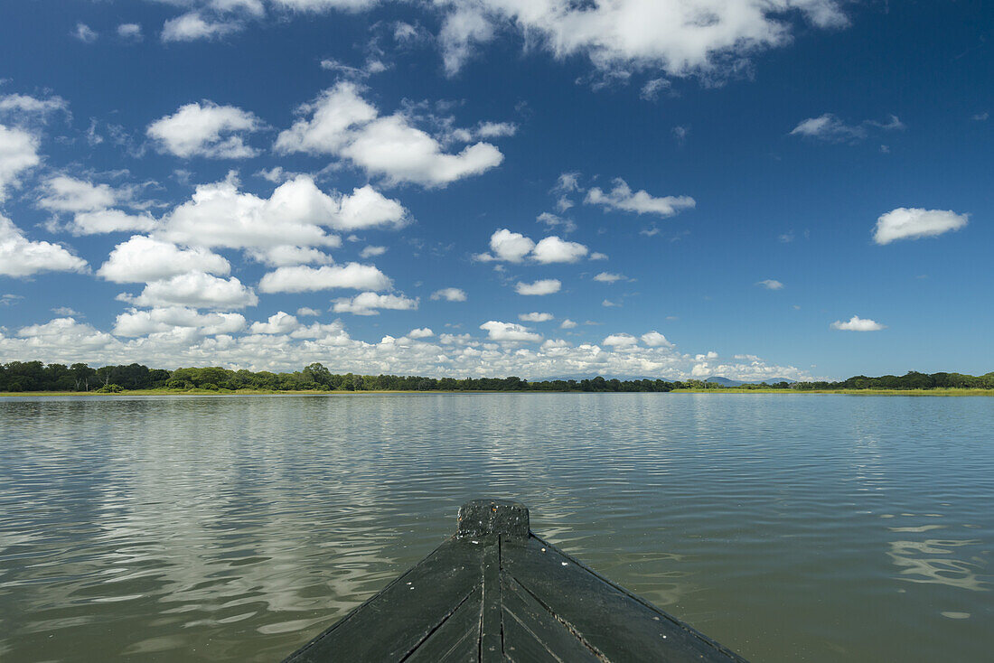 Blick aus dem Boot, das den Shire River im Liwonde National Park entlang fährt; Malawi