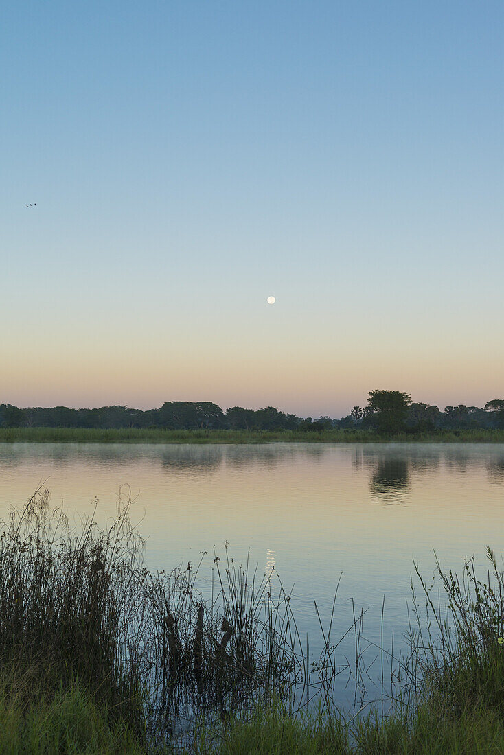 Monduntergang über dem Shire-Fluss in der Morgendämmerung, Liwonde-Nationalpark; Malawi