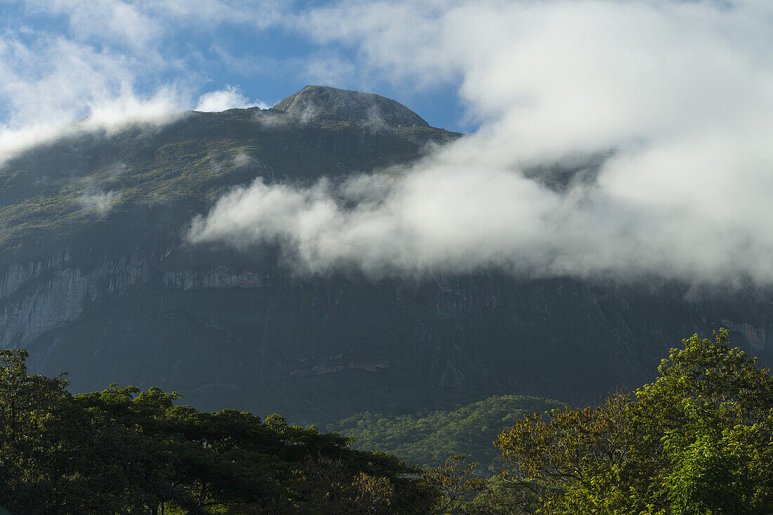 Blick durch den Wald auf den Kamm des Mount Mulanje; Malawi