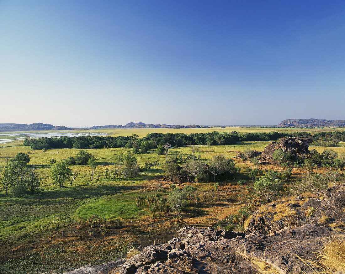 Landscape Of Trees And Rock With Mountains In The Distance; Northern Territory, Australia